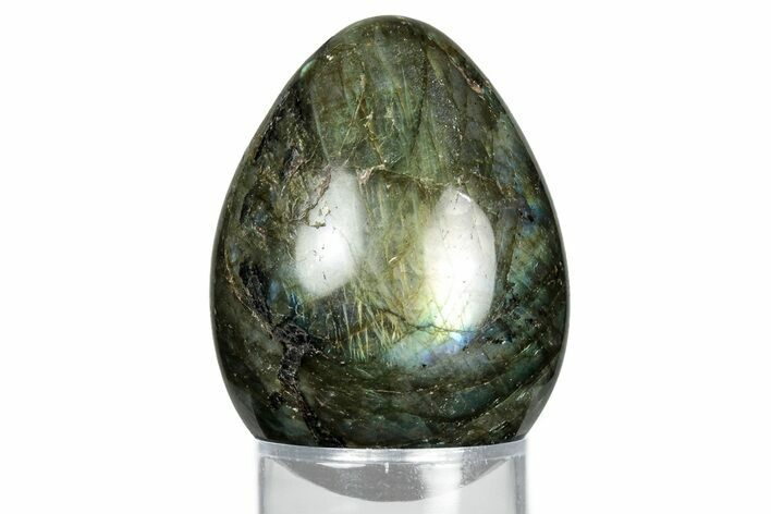 Flashy, Polished Labradorite Egg - Madagascar #344325
